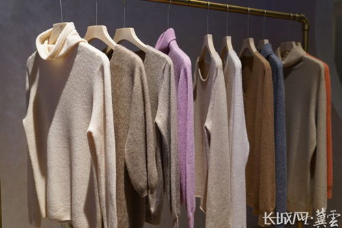 河北清河 織 上加 智 助推羊絨產業(yè)做大做強鳳凰網河北 鳳凰網