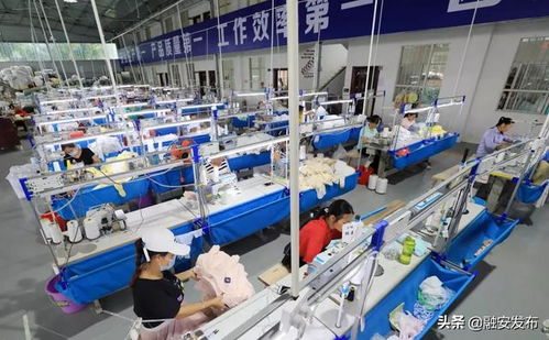 山海呼應(yīng) 一竹一企一園 帶動群眾增收脫貧