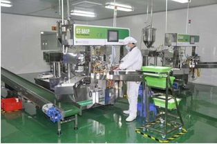 愛護工廠參觀之旅 以匠心與品質，鑄就皮革制品的卓越承諾